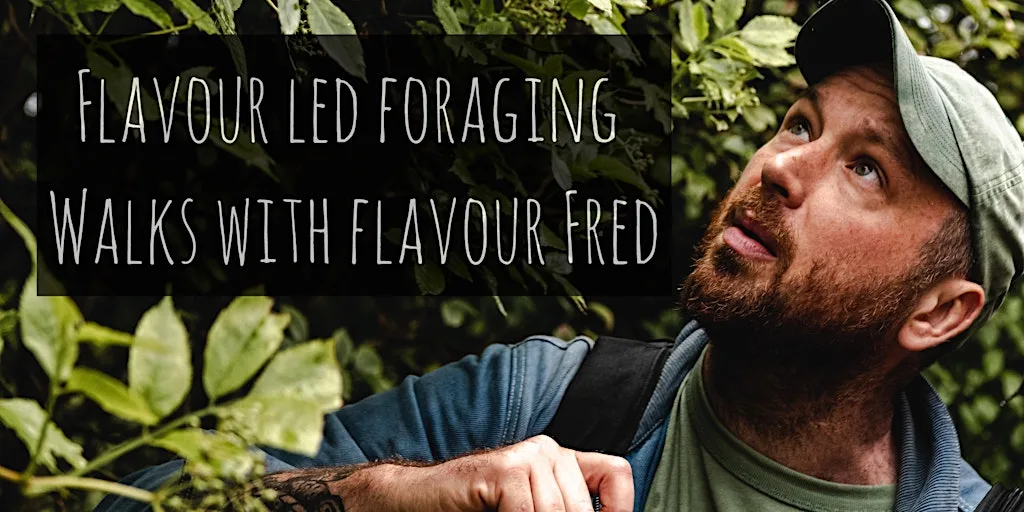 Flavour-Led Foraging Walk, Plants, Fungi, History & Folklore -FUNGI FOCUSED at The Grange Hampshire