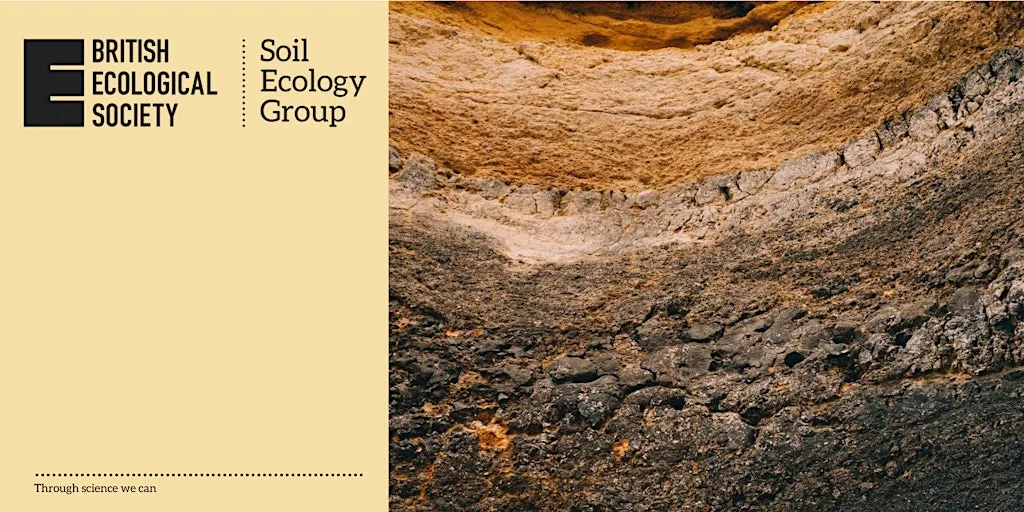 Soil Ecology in Practice at University of Stirling