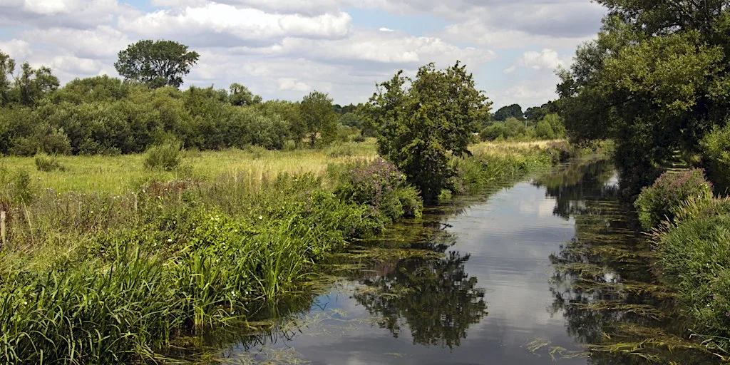 Guided Walk: Late Summer Stroll at Thorley Wash at Thorley Wash Nature Reserve
