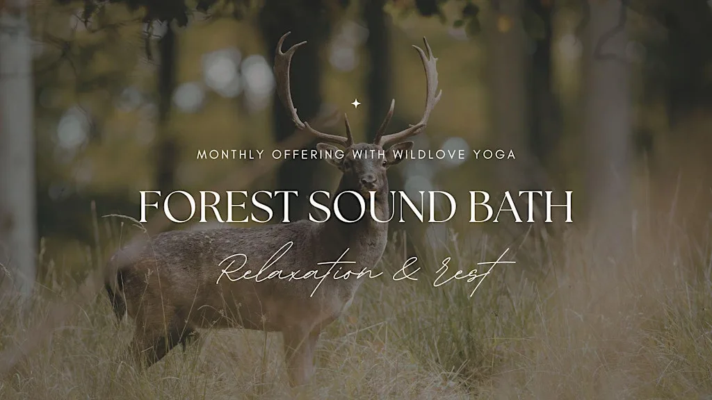 Forest Sound Bath in the Wyre Forest at Wyre forest discovery centre