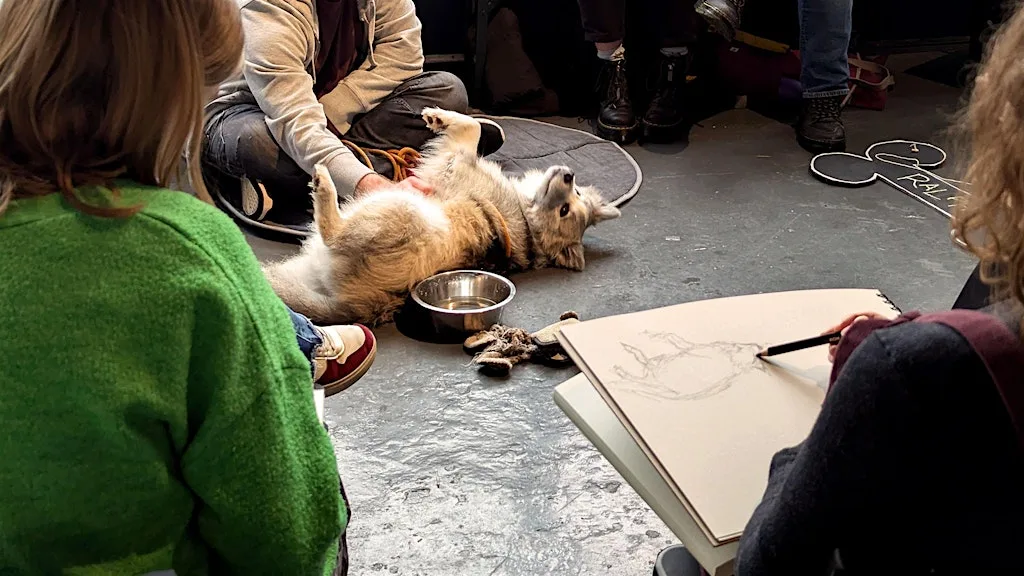Dog Life Drawing at The Greenhouse, Bedminster, Bristol - Summer Season