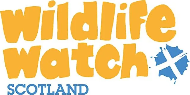 Wildlife Watch - Wetland & Wildflowers @ Seaton Park at Seaton Park Car Park