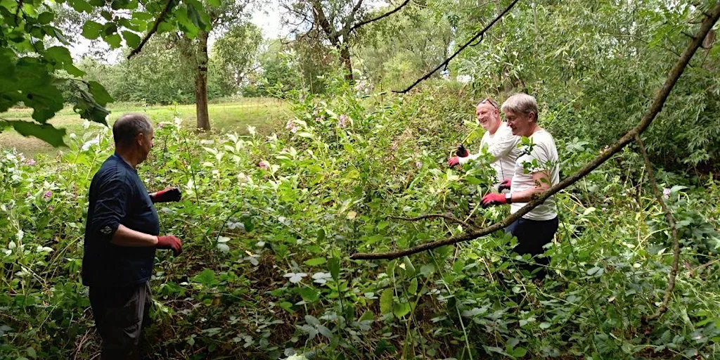 Help us Bring Daisy Nook to Life at Daisy Nook Country Park