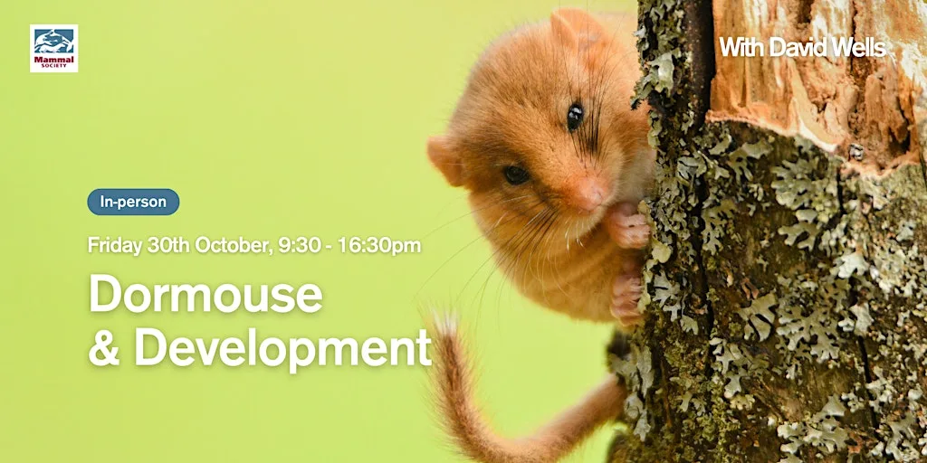 Dormouse and Development at Gorsley Village Hall