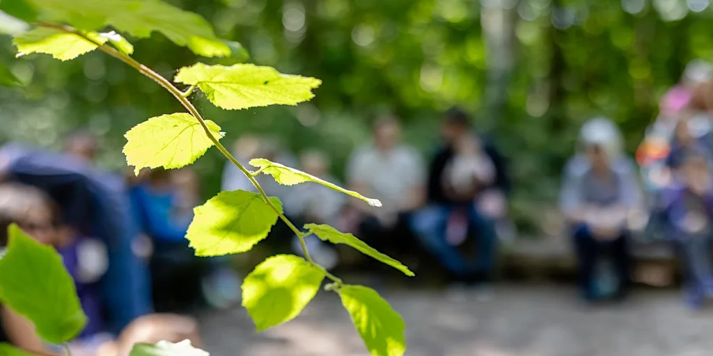 Nature Arts and Crafts for Adults at Swanwick Lakes at Swanwick Lakes Nature Reserve