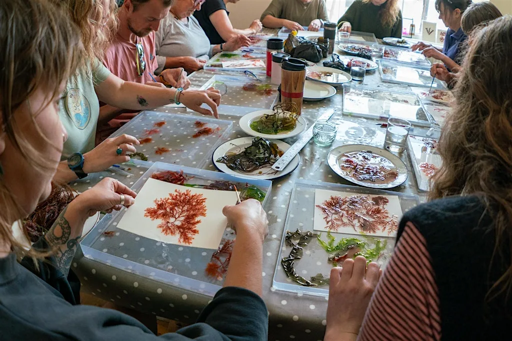 Seaweed Pressing with Molly Macleod at The Really Wild Emporium
