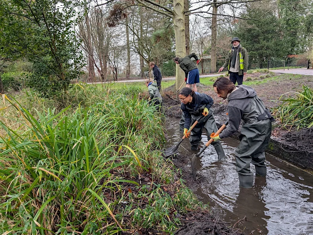 Community Volunteering @ Peckham Rye at The Round - Peckham Rye