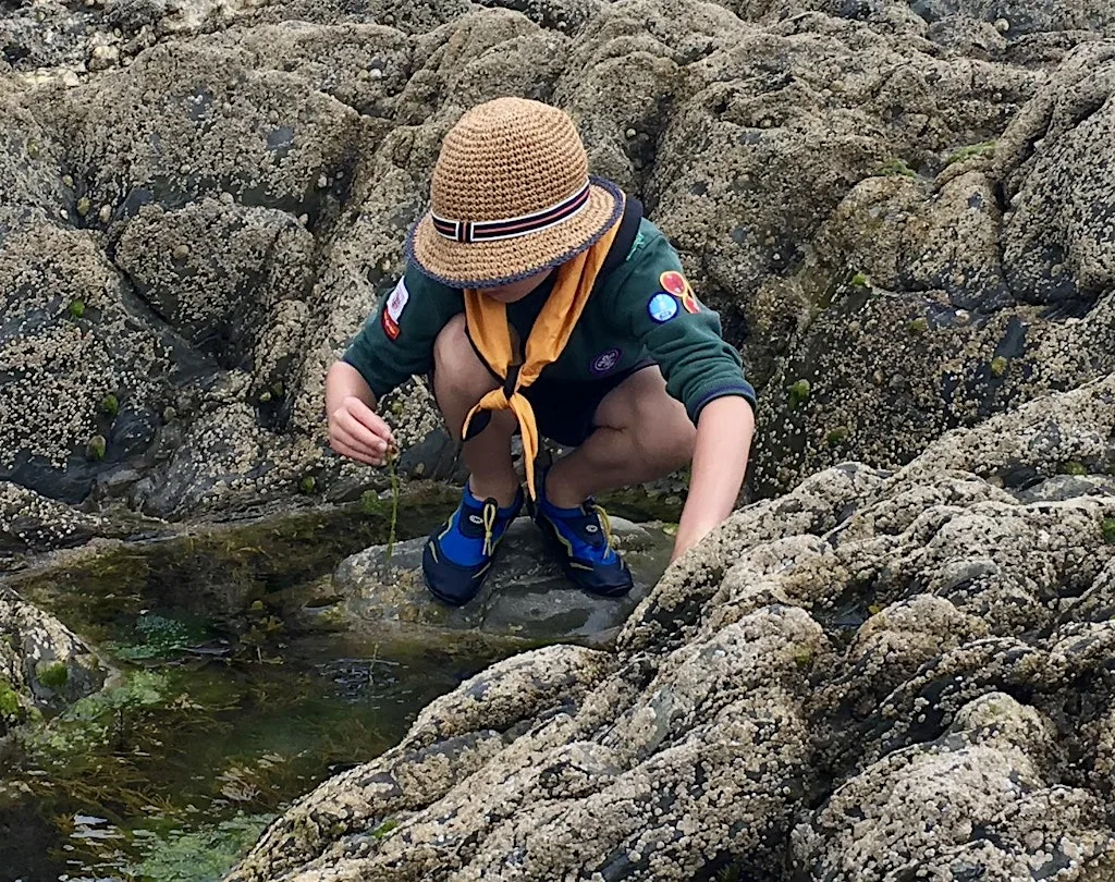 Family Seashore Safari at The Really Wild Emporium