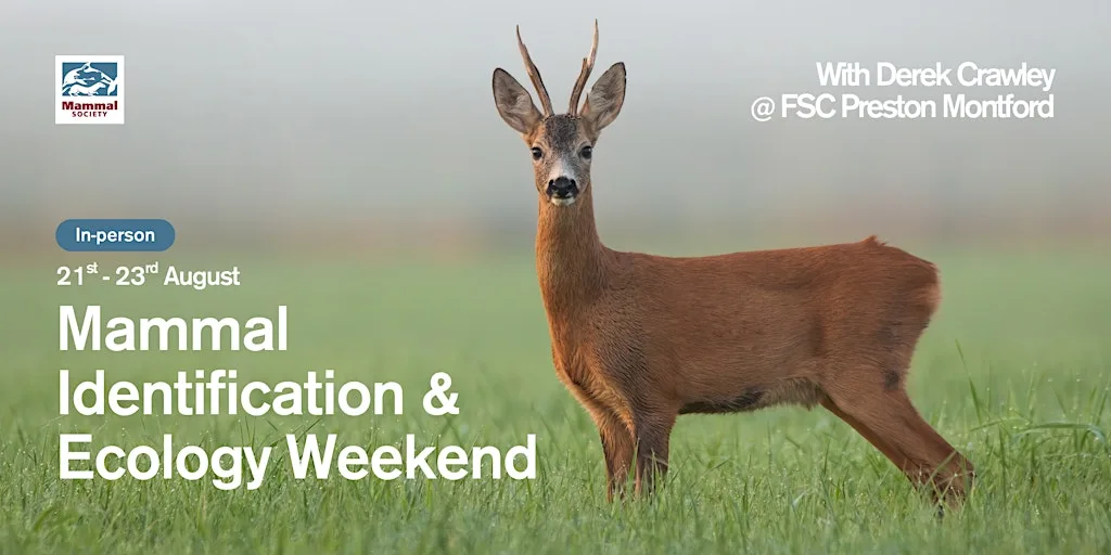 Mammal Identification and Ecology Weekend at Field Studies Council - Preston Montford