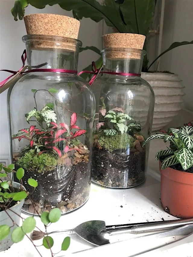 Create a Bottle Terrarium Workshop
