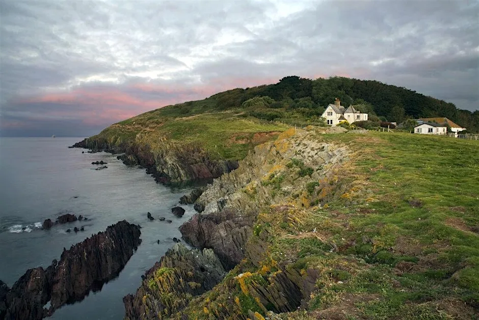 Looe Island | Island Life at Looe Island Nature Reserve
