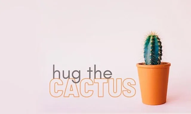Hug The Cactus - Networking in Edinburgh and Fife