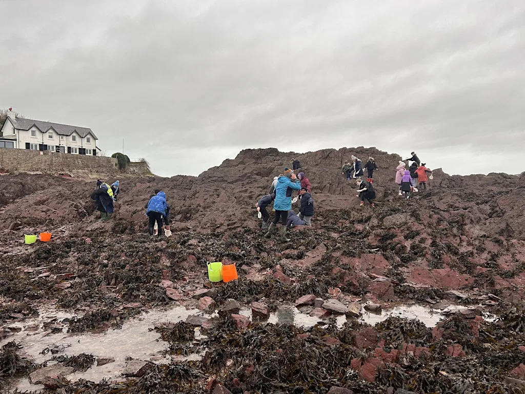 Free Family Rock Pooling & Push Netting at Dale Beach