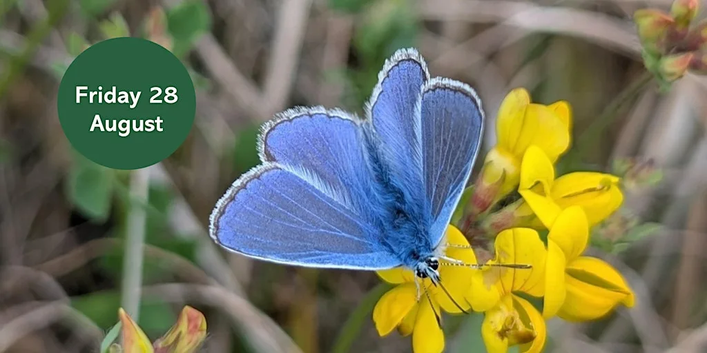 Ouse Burn Way: Butterfly Walk at Havannah and Three Hills Nature Reserve