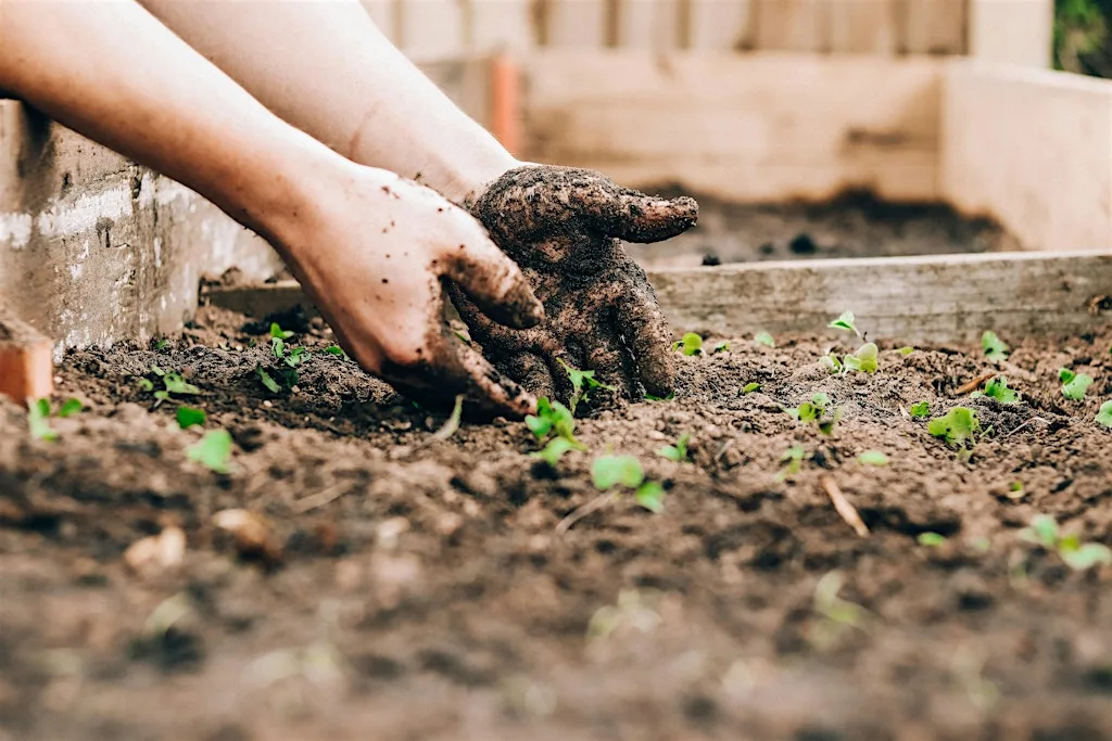 ROOTS: The WP Gardening Club at Wellington Central