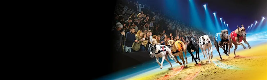 Stag Party Special @ Newcastle Greyhounds at Newcastle upon Tyne