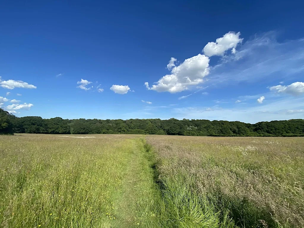 Walk & Talk Colchester | Construction Networking & Mental Health at Salary Brook entrance, Bromley Road, Colchester (by the entrance sign)