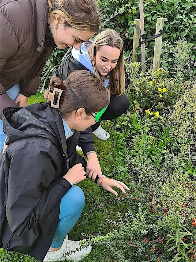LJMU Wellbeing Garden: Growing Connections at LJMU Natural Curriculum Outdoor Learning Zone, Liverpool Art and Design Academy
