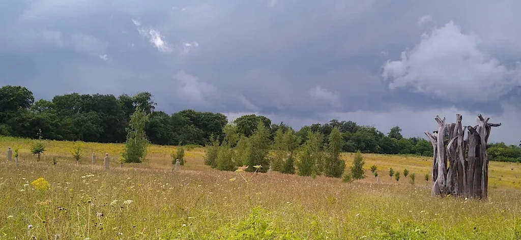 An Introduction to Langley Vale Wood - guided walk at Langley vale wood car park