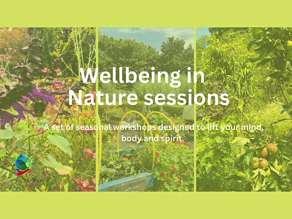 A wellbeing in nature workshop for Autumn at Laudato Si Centre