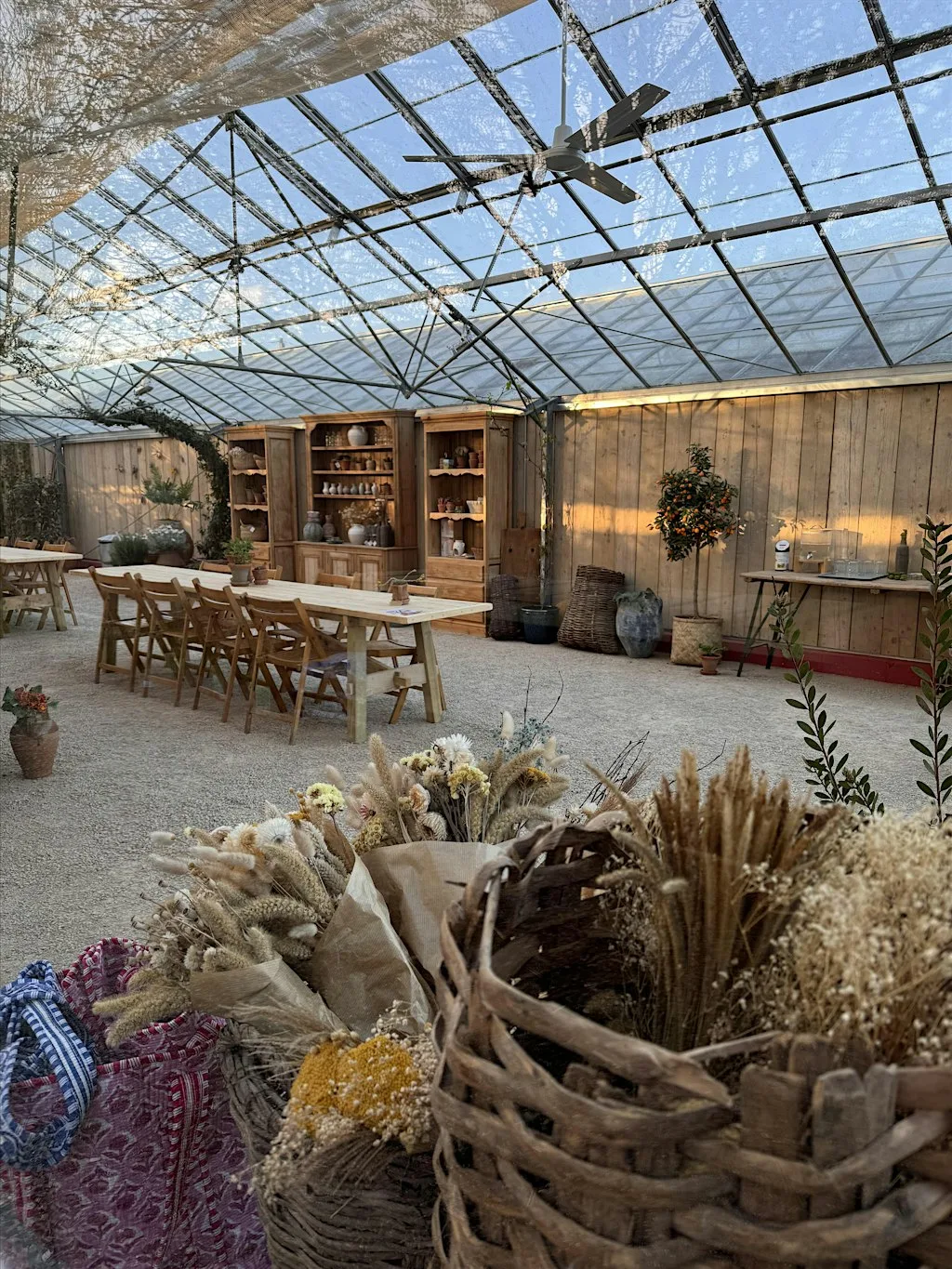 Pottery Painting in a Plant-Filled Greenhouse, Great Bookham Surrey All Age