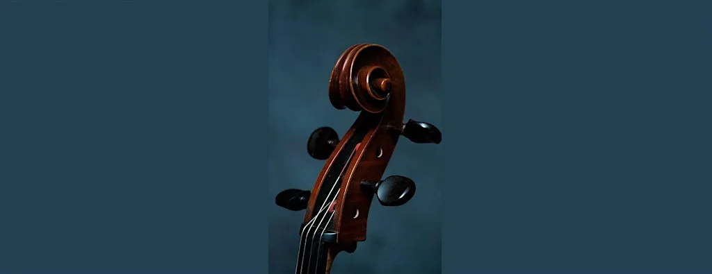 Young musicians concert no.8 at The Lit & Phil