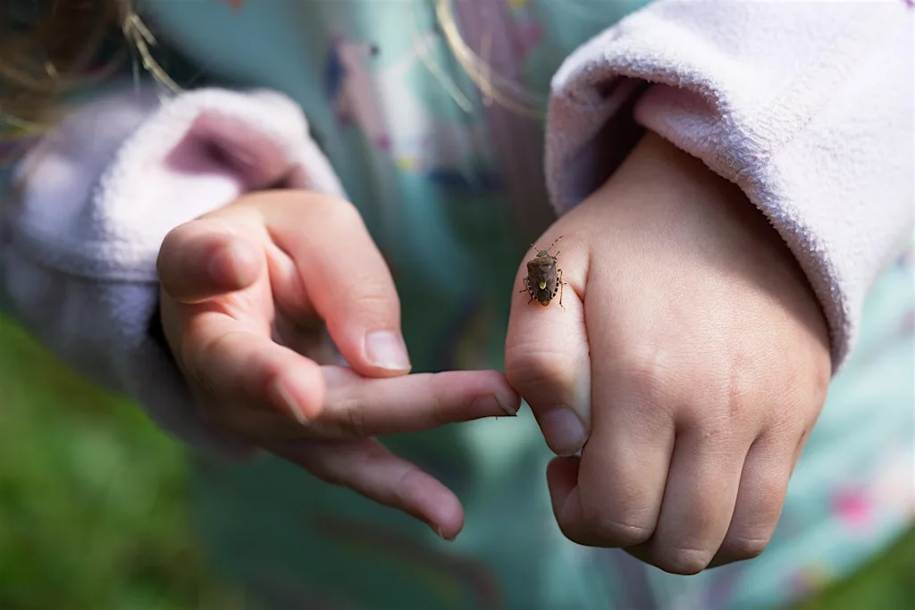 Miraculous minibeasts (Family event) NWT Hickling Broad at Norfolk Wildlife Trust Hickling Visitor Centre