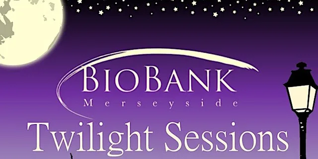 Twilight Session - Hoverflies at Merseyside BioBank