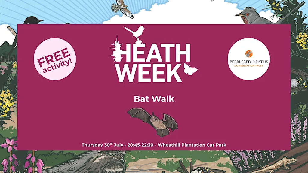 Heath Week 2026: Bat Walk at Wheathill Plantation Car Park