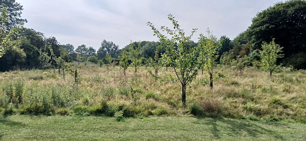 Growing Together at Hetton Park Community Orchard at Hetton Park