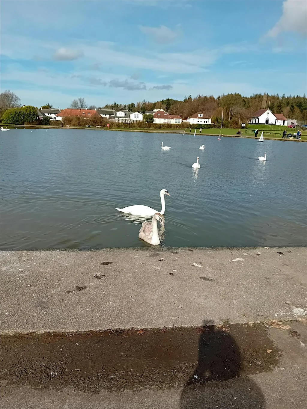 Mindful Walk Connecting with Nature at Barshaw Park