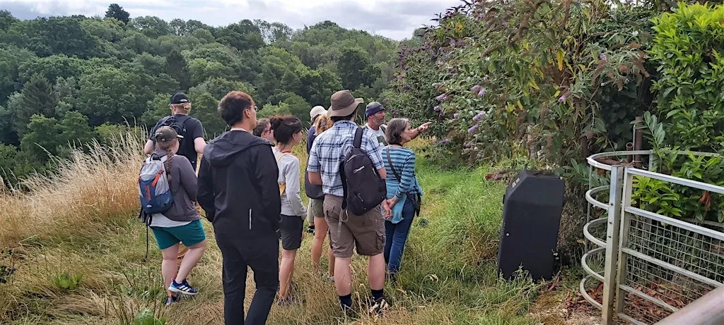 Summer Foraging in Waterside Valley at SWALLOW Community Cafe, Radstock