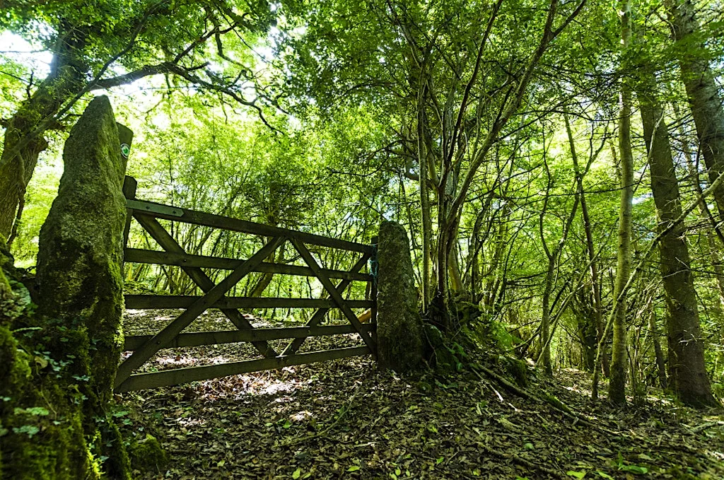 Cornwall Wildlife Trust AGM 2026 (and optional Wildlife Walk) at Shire House