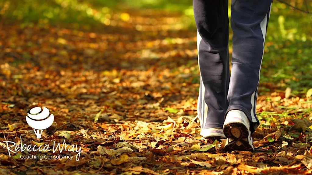 Next Steps Cheshire: Guided coaching walk at Lymm Village