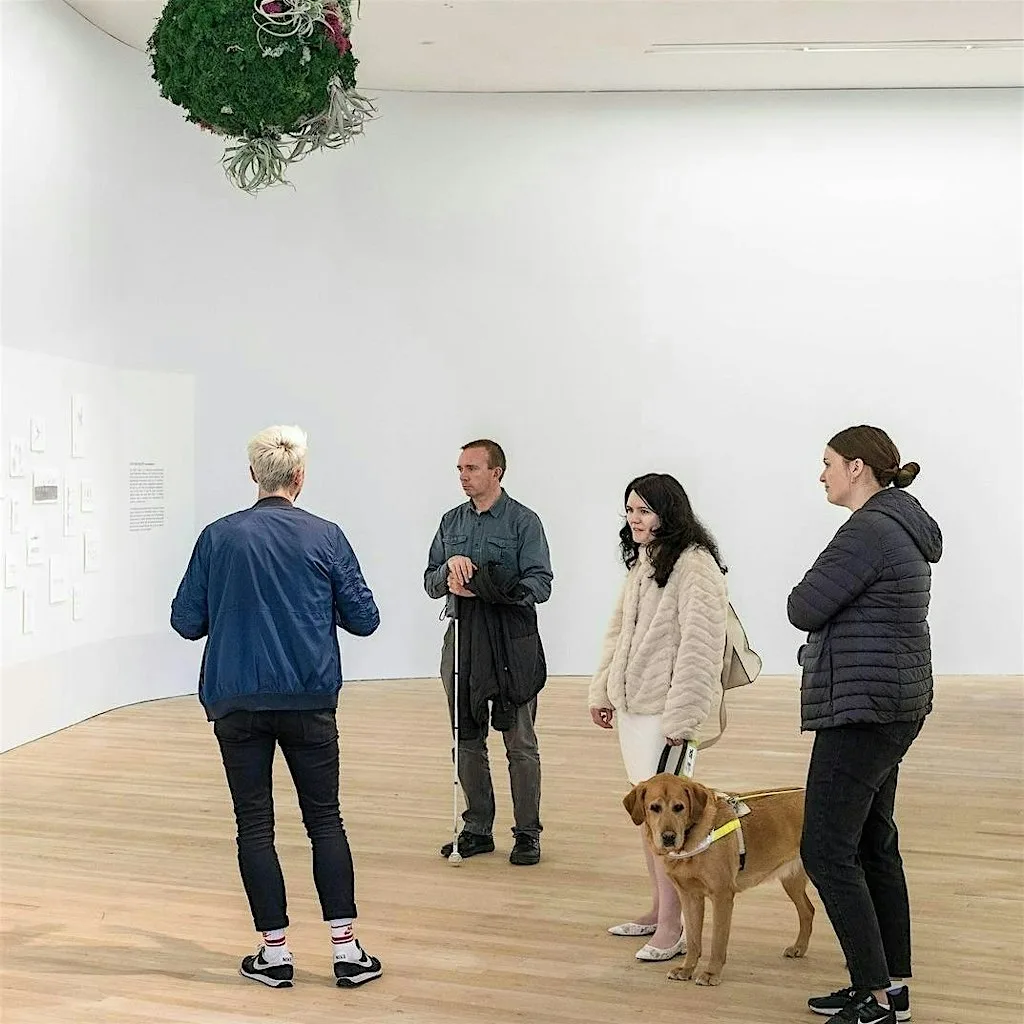 Audio Described Tour: Selected Works - UCC Art Collection at T12 V1WH