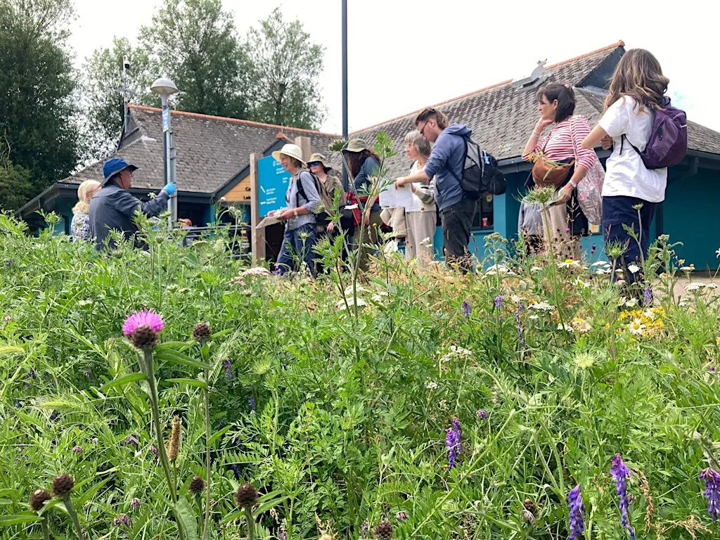 Wildflower ID Training - Cosmeston at Cosmeston Lakes Country Park