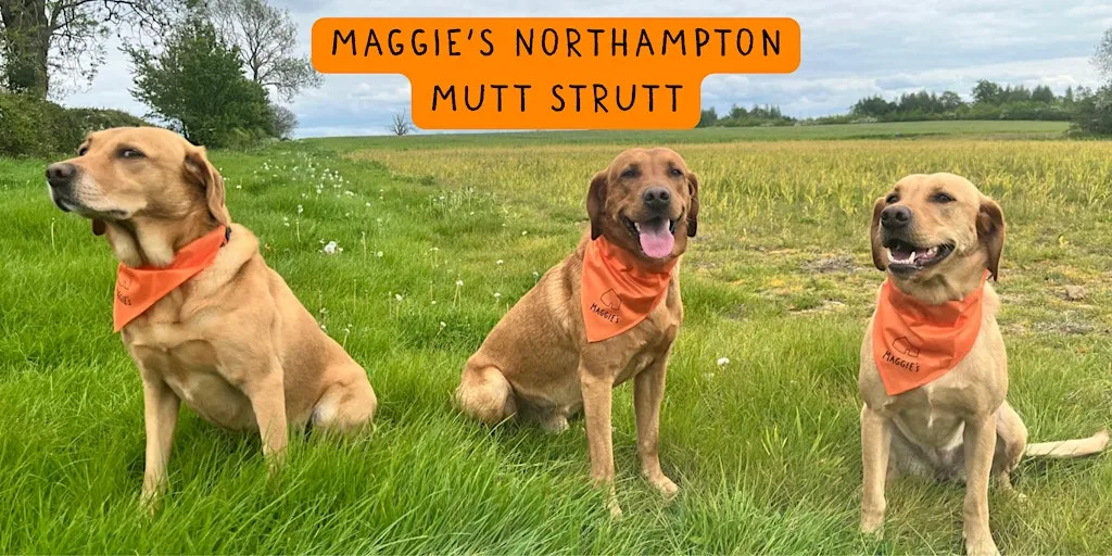 Mutt Strutt Northampton 2026 at Northampton