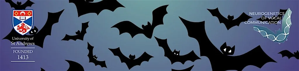 St Andrews Bat Walk at Bute Building - University of St Andrews