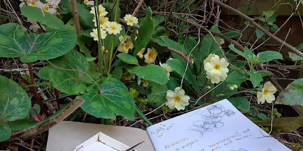 Belfairs nature scrapbooking for families at Belfairs Nature Discovery Centre (new)