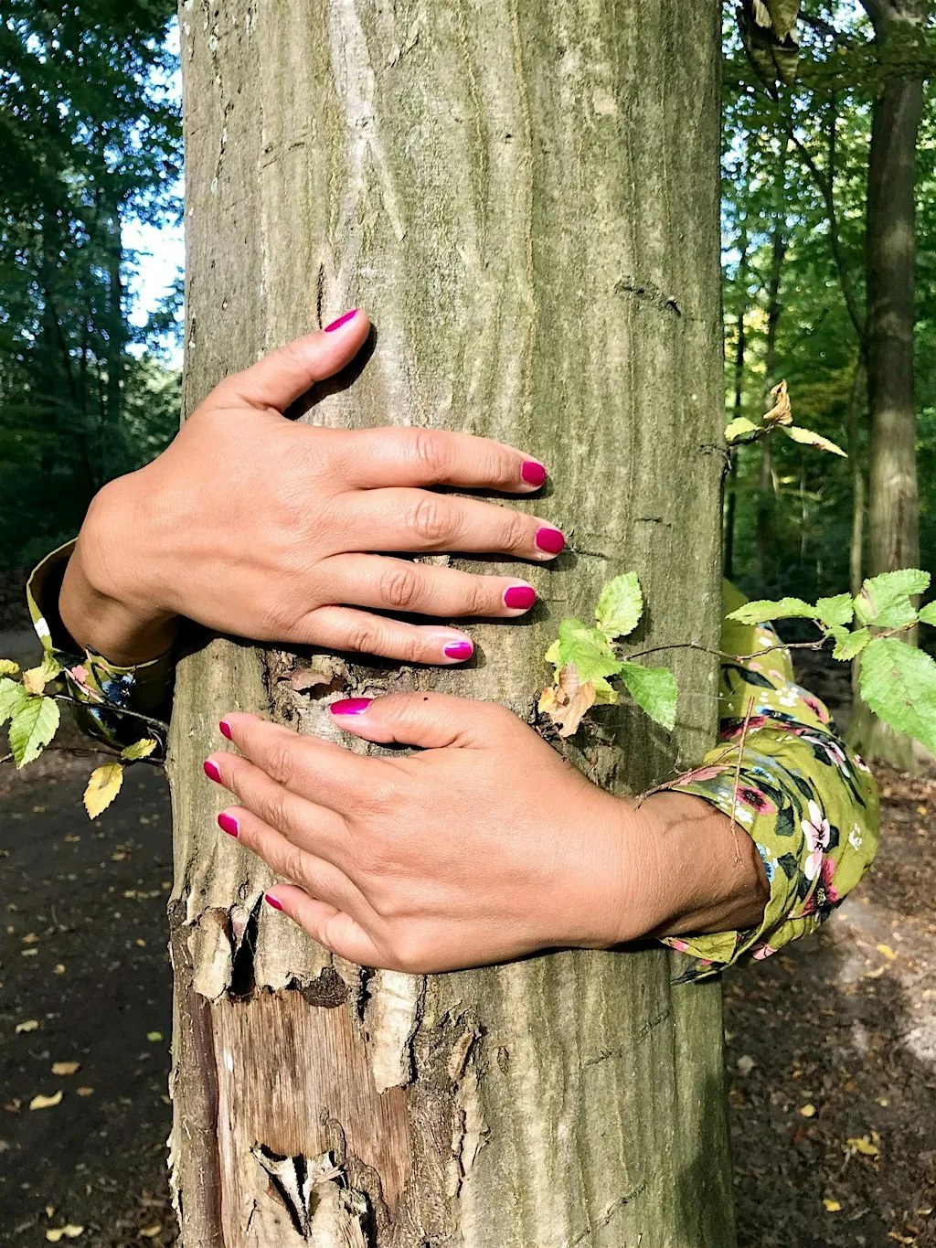 Weekend Wellness: Forest Bathing in Hothfield Heathlands