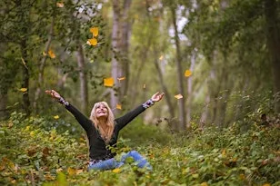 Weekend Wellness: Forest Bathing in the Blean at West Blean and Thornden Woods