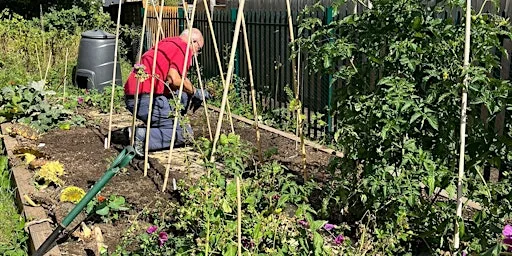 Lyttelton Community Gardening