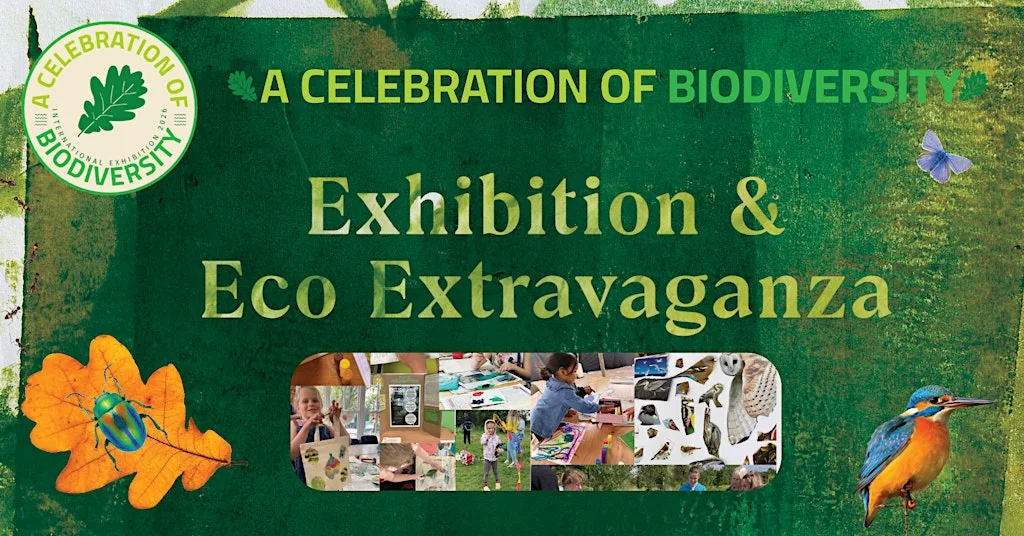 A Celebration of Biodiversity Exhibition and Eco Extravaganza at Leicester Adult Education, Lower Gallery