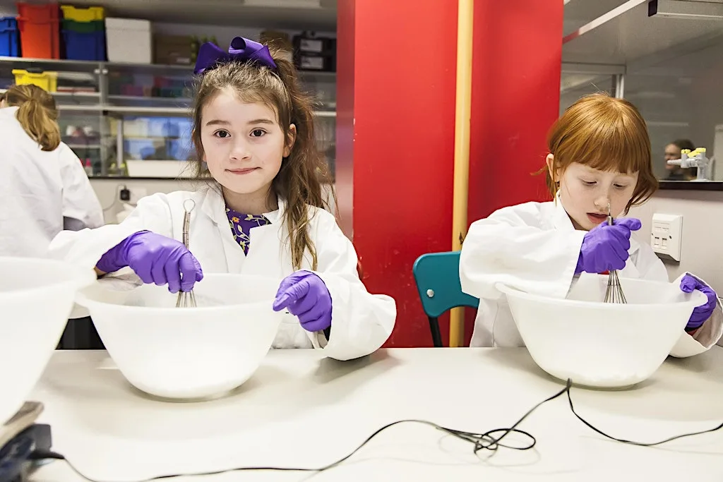 Holiday Workshops: Cosmetic chemistry (Years 5 and 6) at The Royal Institution of Great Britain