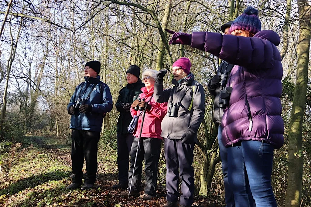 Nene Wetlands Wildlife Wander (2nd September) at Nene Wetlands Visitor Centre