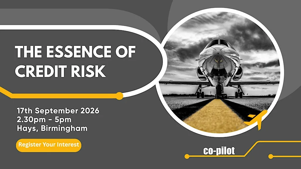 Co-pilot Essence of Credit Risk - Birmingham Meeting at Hays Recruitment Agency - Birmingham