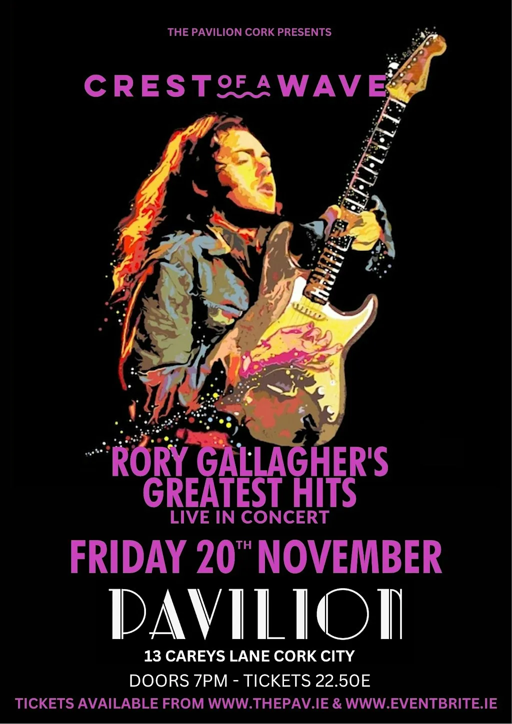 'Crest of a Wave' - Rory Gallagher Tribute show - Live at The Pavilion Cork at The Pav