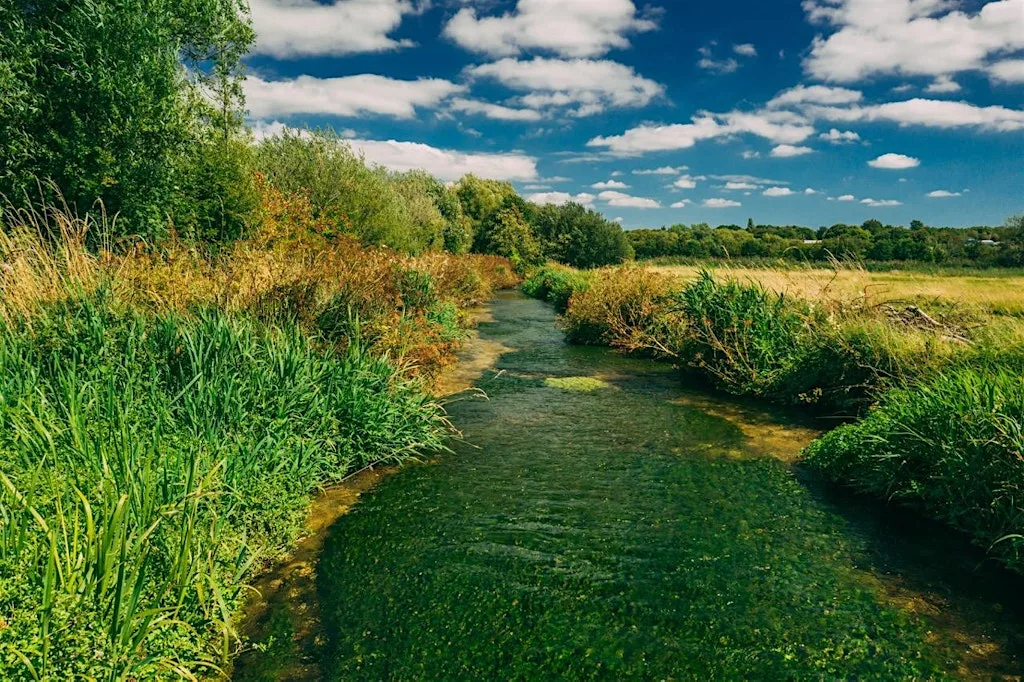 Guided walk at Winnall Moors Nature Reserve at Nuns Walk