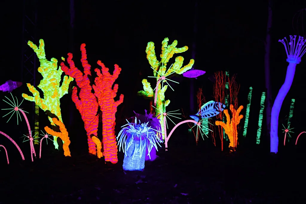 Build a Coral Reef at Quex Park
