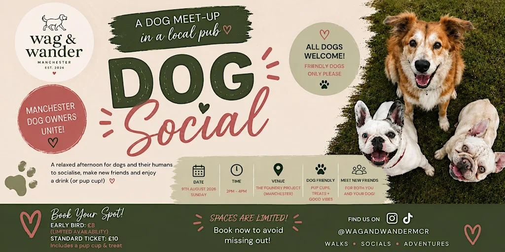 Dog Social